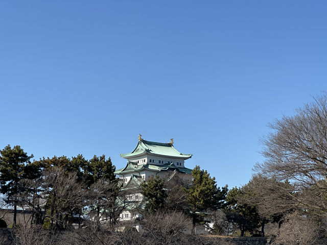 日本中部升龍道踏雪之旅