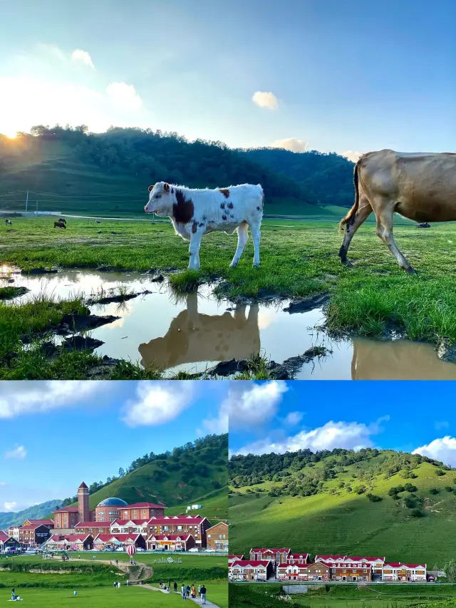 Baoji Guanshan Ranch | A Healing Trip to the Northwest Grasslands