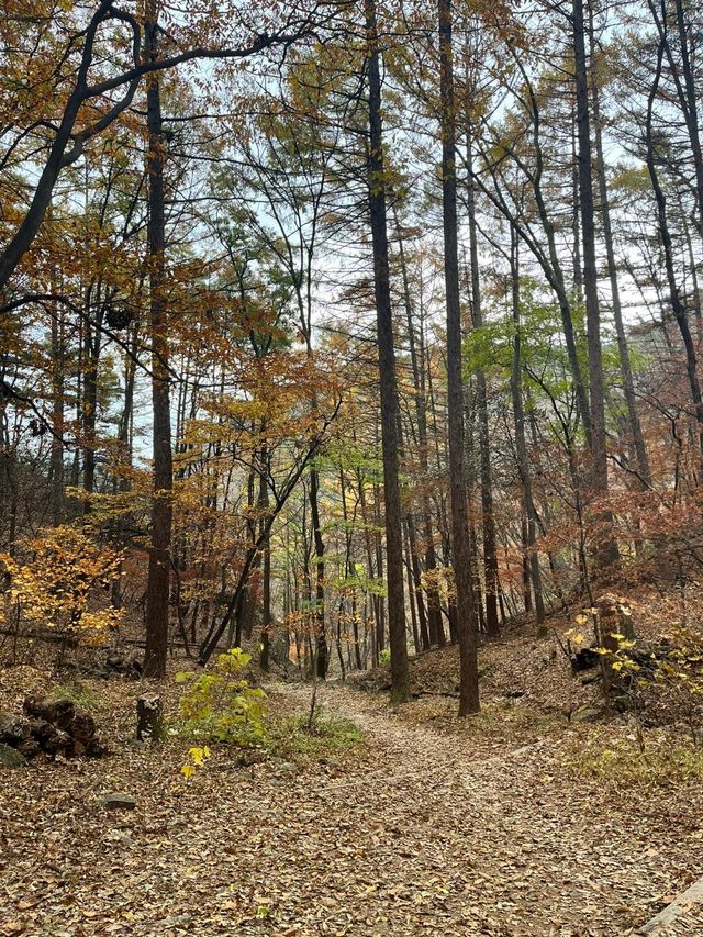 說走就走的大邱1日遊登山攻略