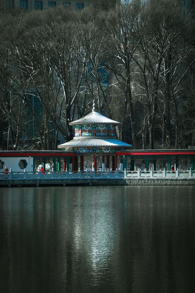 打卡西寧人民公園