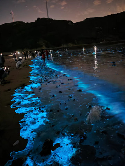 2025平潭藍眼淚最新追淚指南！這次真的別再錯過了｜Trip.com 平潭