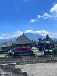 7日印尼森林探秘之旅
