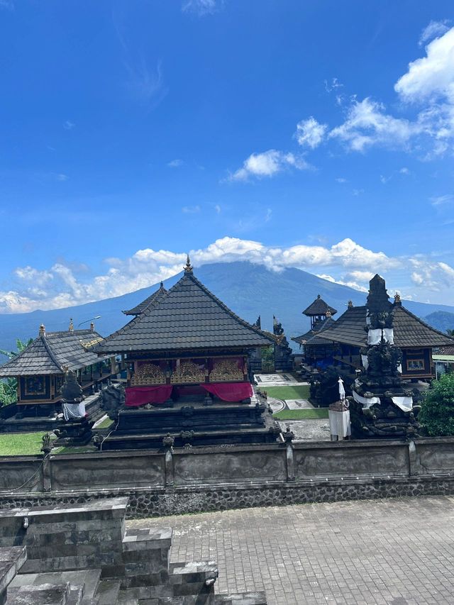 7日印尼森林探秘之旅