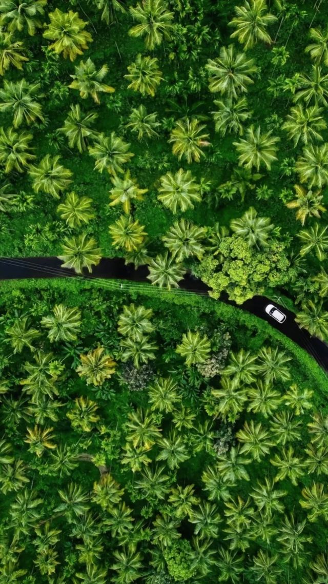 阿里巴格，馬哈拉施特拉邦的璀璨明珠