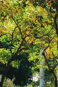 值得刷 N 遍的寶藏公園！忠侖公園原地封神