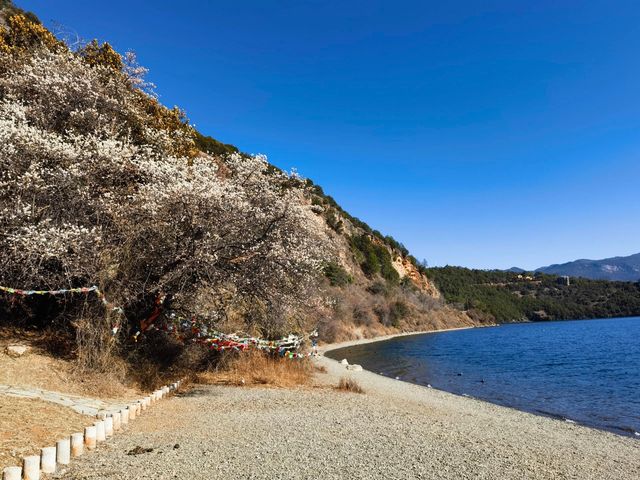 瀘沽湖｜摩梭女兒國的浪漫傳說與湖光盛景