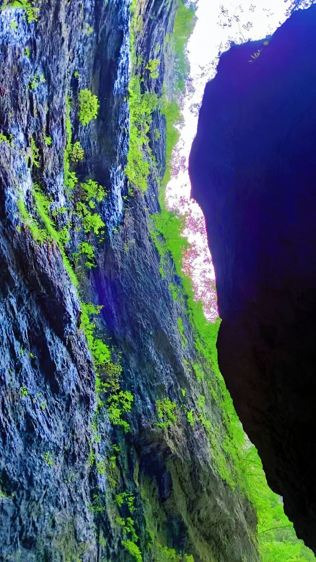 金絲峽的美景就在眼前，您還猶豫什麼？