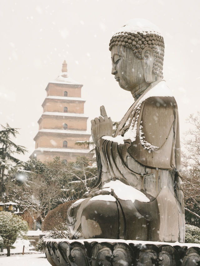有多少人在等一場西安的大雪，雪落滿長安～