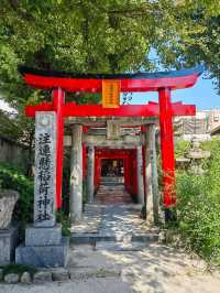福岡市區必遊：一日深度探索行程