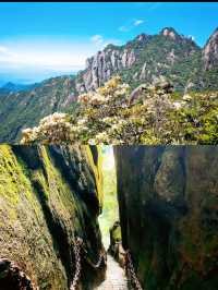 「三清山，自然與靈氣的完美交融」。