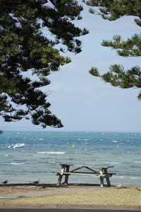澳洲索倫托馬里納港：夢幻海景與悠閒時光的完美結合