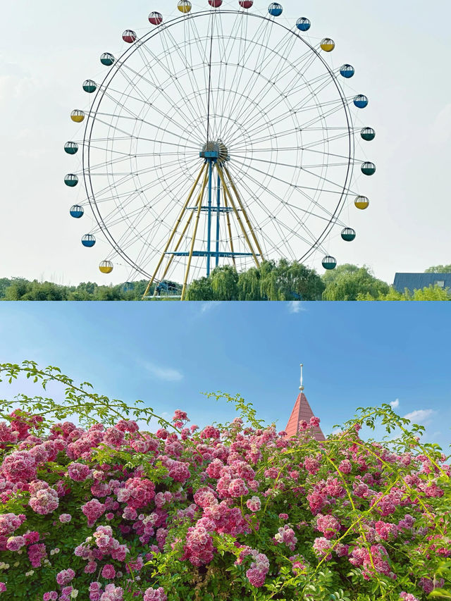 魅力阜陽｜皖北明珠的尋味之旅