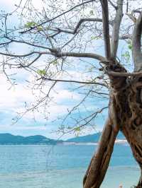 6天暢遊海口-棋子灣｜保姆級行程攻略 玩轉海南
