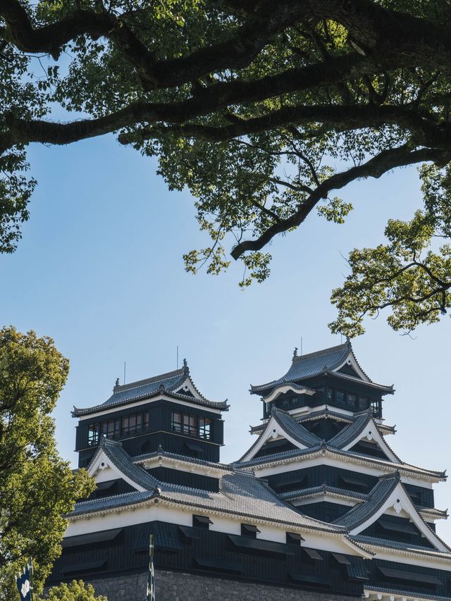 櫻花季來襲！一起去日本享受溫泉之旅吧