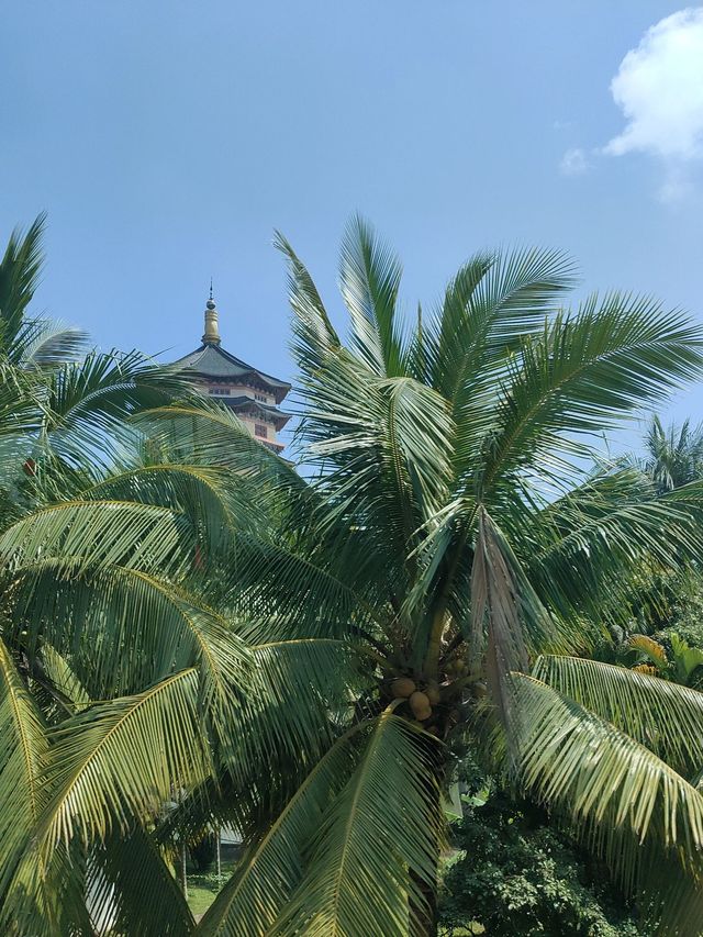 3日玩轉三亞-陵水-保亭 超實用攻略請收好