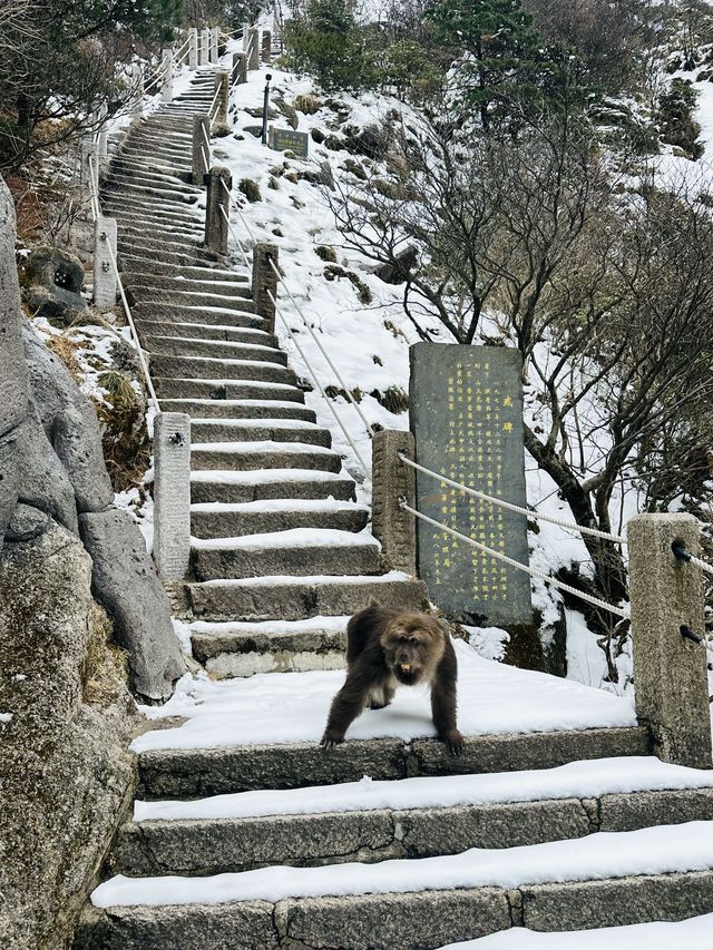 黃山4日遊  定制行程更自由