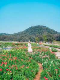 闖入春日花花世界！東莞香遇百花園全攻略