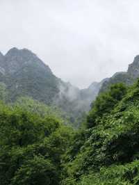 小長假不用吹，九江三日遊看這篇就夠了