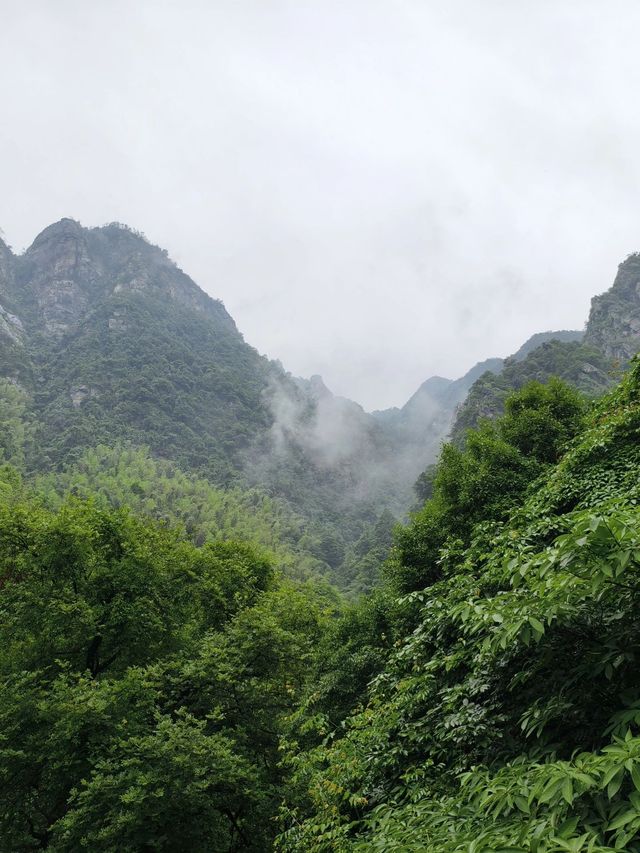 小長假不用吹，九江三日遊看這篇就夠了