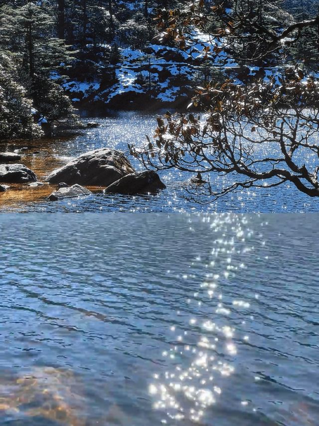 承包整片仙境的雪山秘境