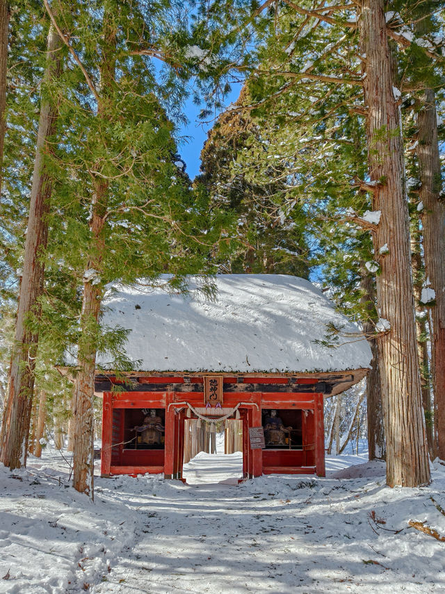 東京近郊｜雪國森林長野兩日遊攻略