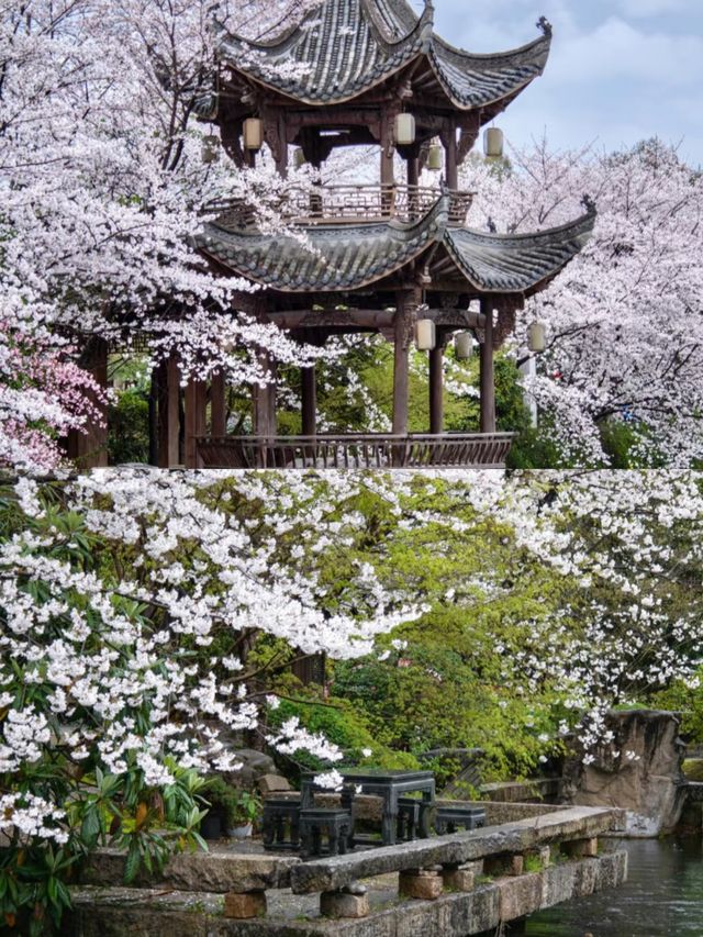 【杭州，一個來了就不想走的城市！】