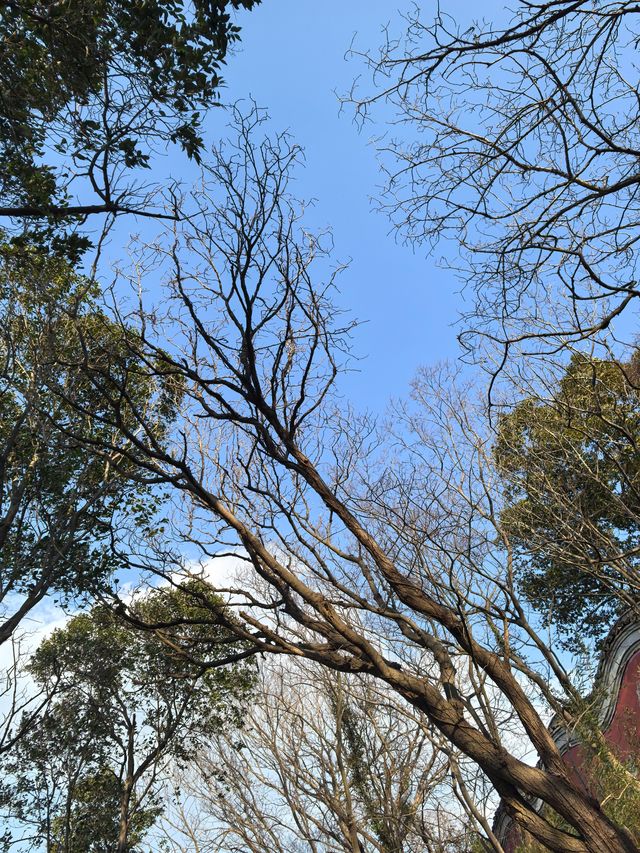 冇人錫就去行山！行完周身痛（蘇州版）