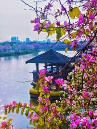 踏入海珠國家濕地公園，在濕地的靜謐中聆聽自然的淺吟低唱