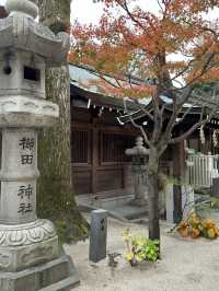 博多寺社巡禮路線：歷史與信仰之旅⛩️ 📜