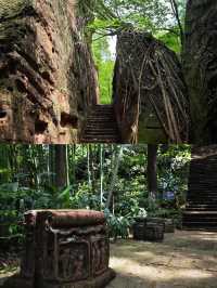 深山藏瑰寶，歲月留遺憾