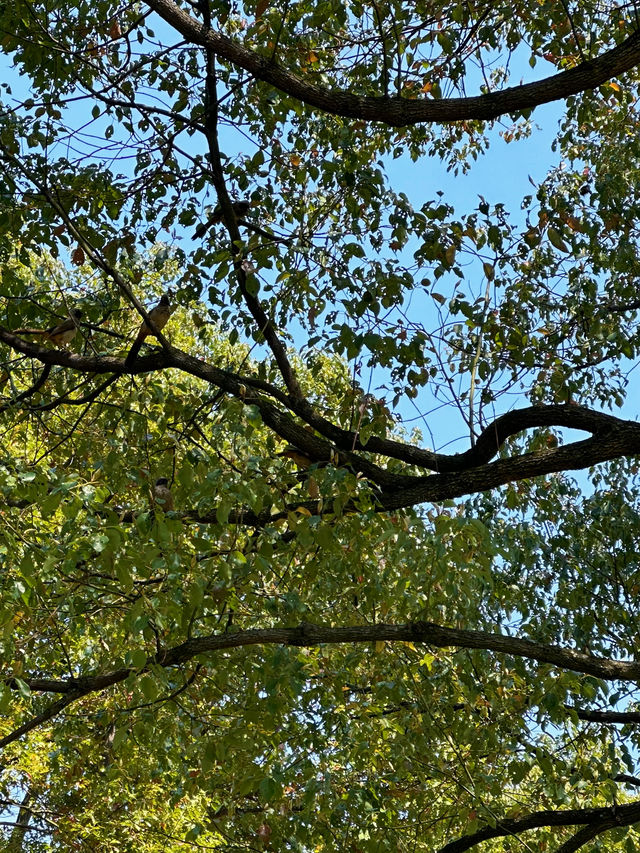 春天就是上春天｜鄞州公園踏春遊