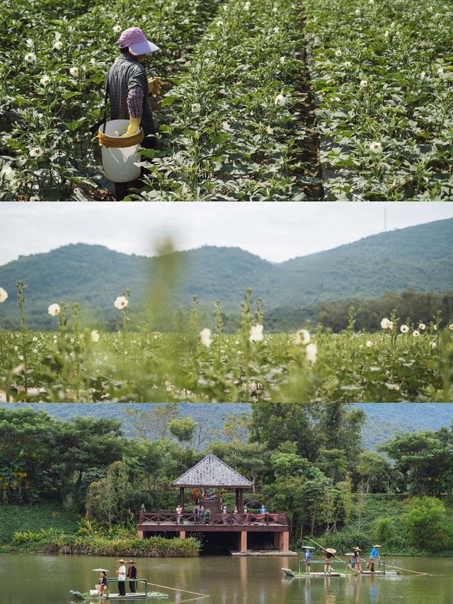 三亞小眾自駕｜跳島、沙灘、燈塔、古村全都有！