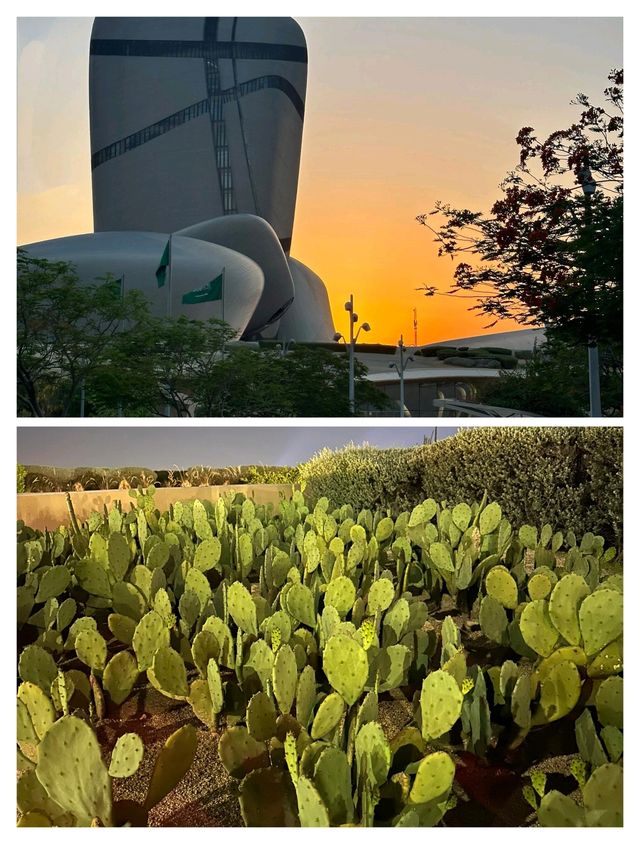 沙特達曼寶藏打卡地，伊斯拉圖書館與公園全攻略。