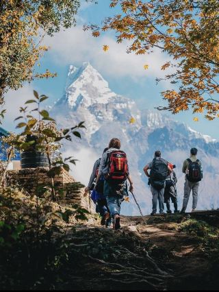 Nepal Trekking | ABC & MBC: Which One to Choose?