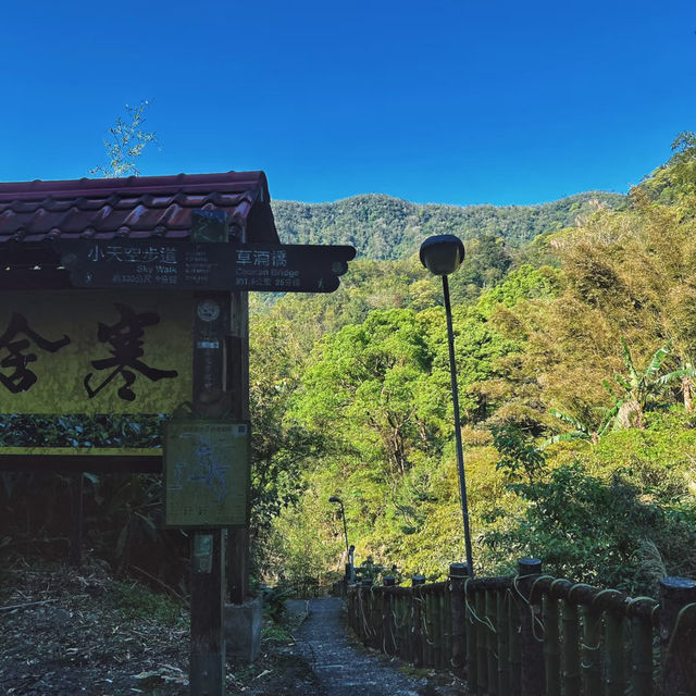 🌱貓空茶園 | 臺北最治癒的吸氧地