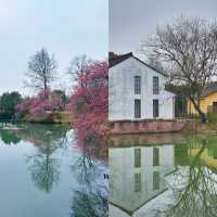 西溪濕地公園旅遊攻略