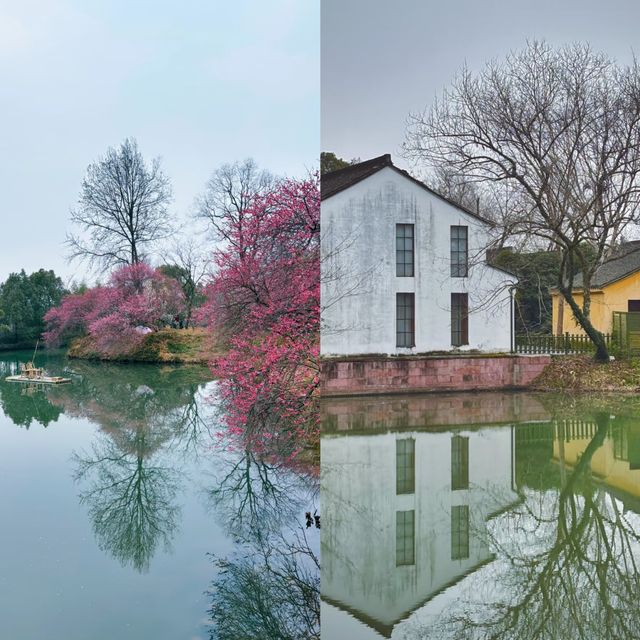 西溪濕地公園旅遊攻略