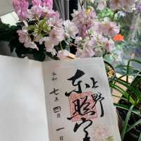 衝！上野東照宮4月限定御朱印get🏮