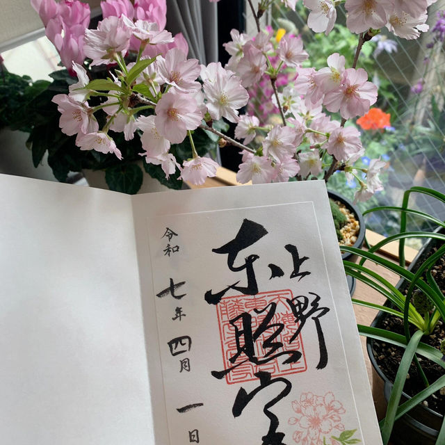 衝！上野東照宮4月限定御朱印get🏮