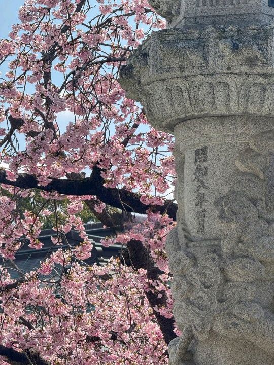 福岡探秘：幽冥地獄神社與清修南藏院之旅