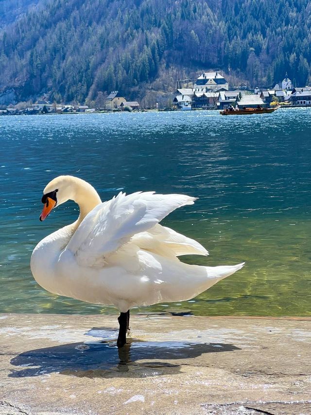 湖畔春天