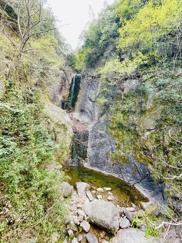 去安吉竹林放空一下吧！
