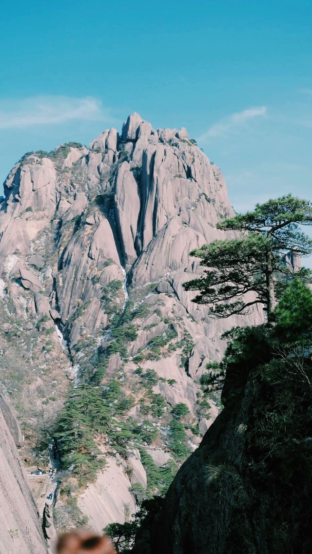 「黃山歸來不看嶽」 「黃山歸來不看嶽」