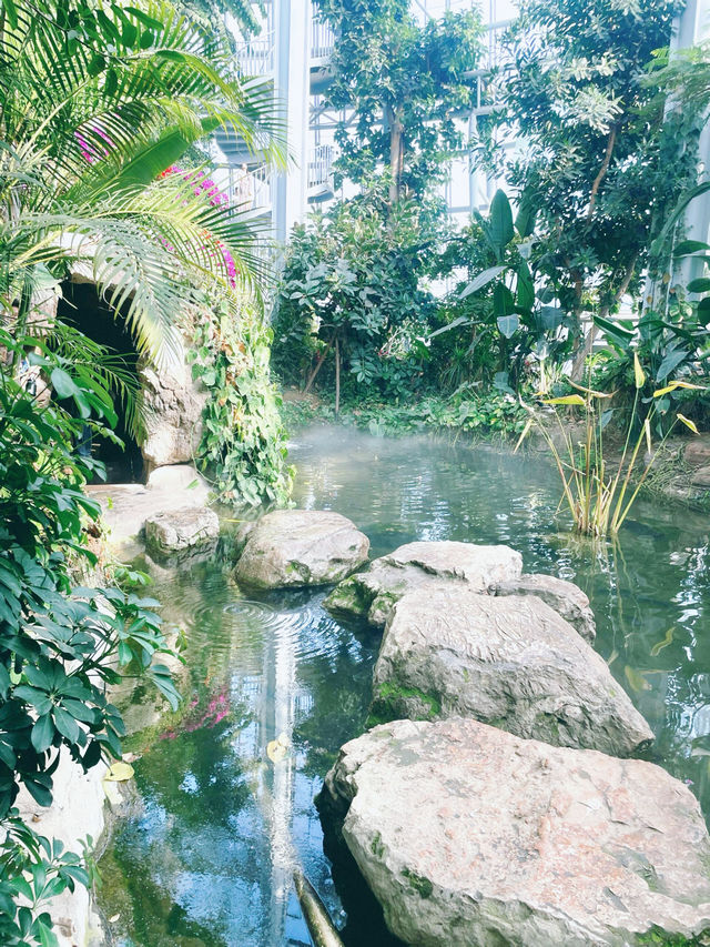 鄭州｜植物園｜中原綠意秘境與自然奇觀