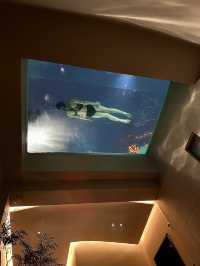 長沙！你也太超前了！獨棟懸空泳池酒店！！！