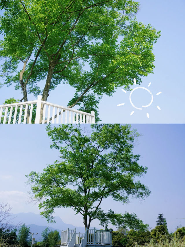 邂逅最美春山外：