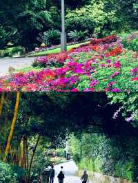 我在梅州上春山，請收藏這份小眾旅遊攻略