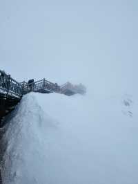 金茂璞修雪山酒店 玉龍雪山 麗江