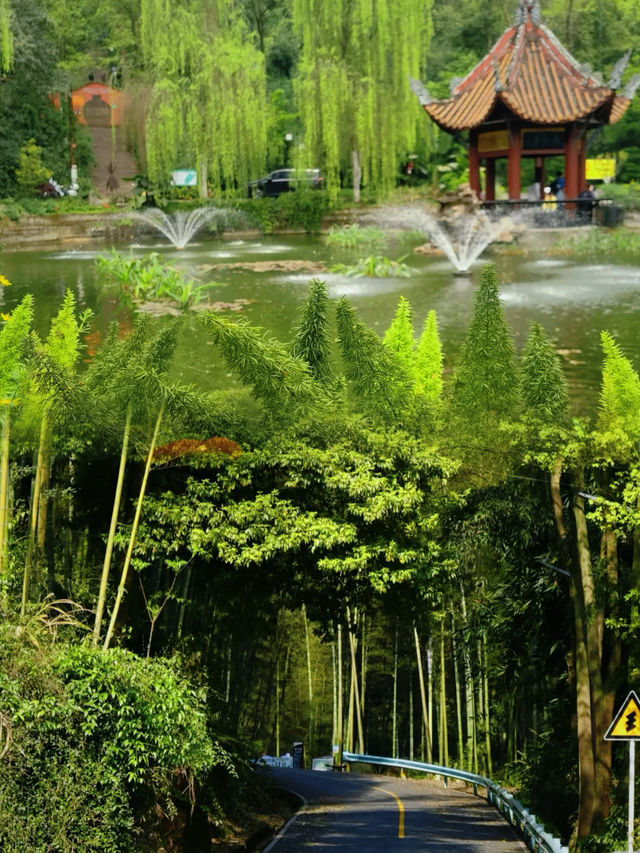 蜀南竹海真的值得去嗎？這份避坑指南告訴你答案！