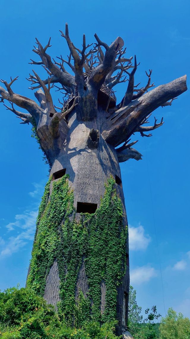 沂南嘅獨特文化真係值得一探？